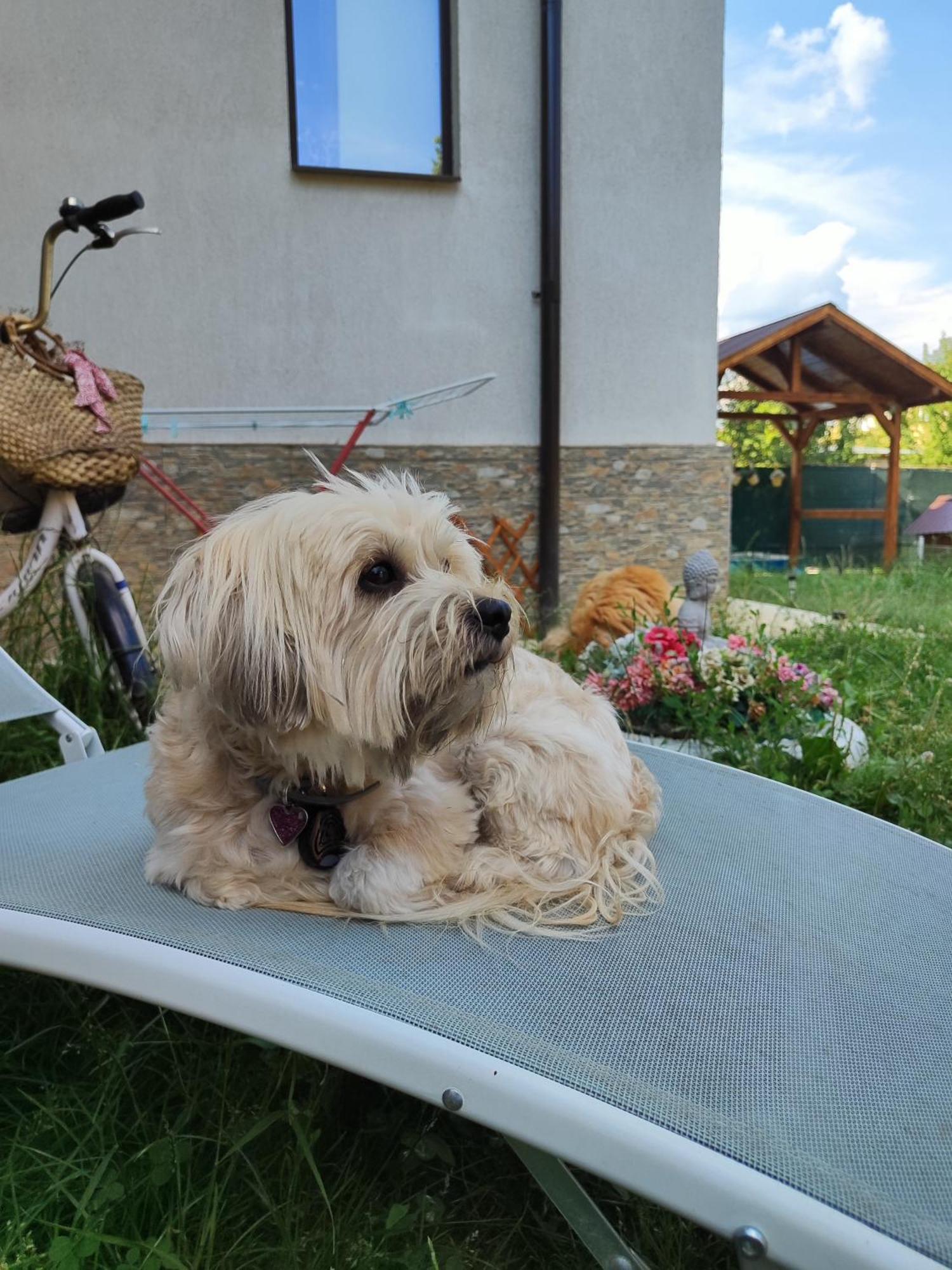 Happy Home Călimăneşti Εξωτερικό φωτογραφία